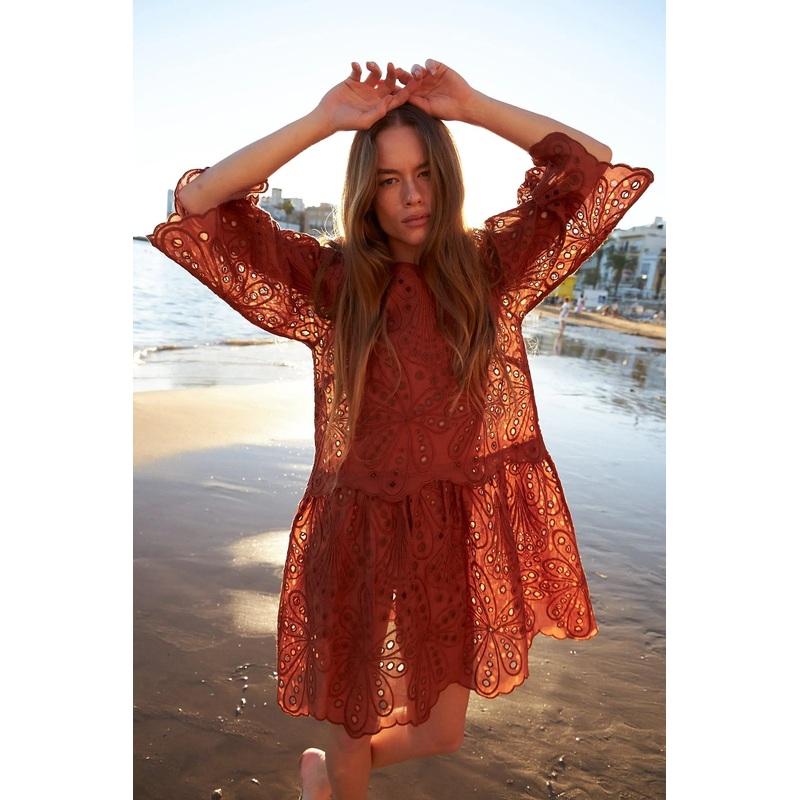 Crisp Delicate embroidered cotton dress – Brown