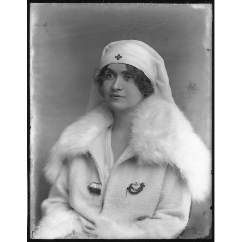 Alice Fereers Townshend (ne d’Anvers), Lady Townshend Greetings Card