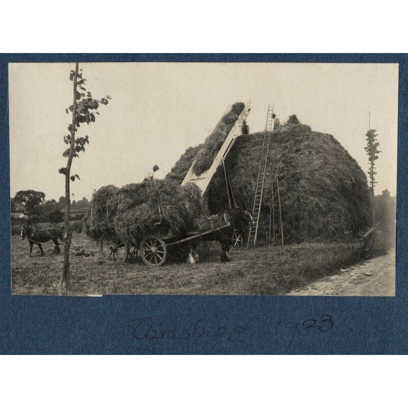 ‘Thrashing’ Greetings Card