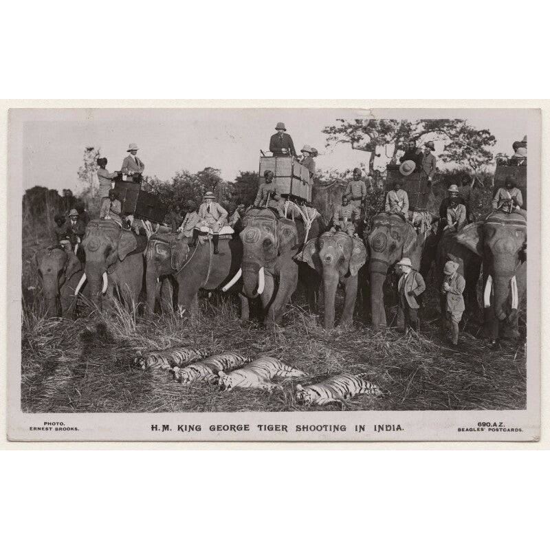 ‘H.M. King George Tiger Shotting in India’ (King George V and others) Greetings Card