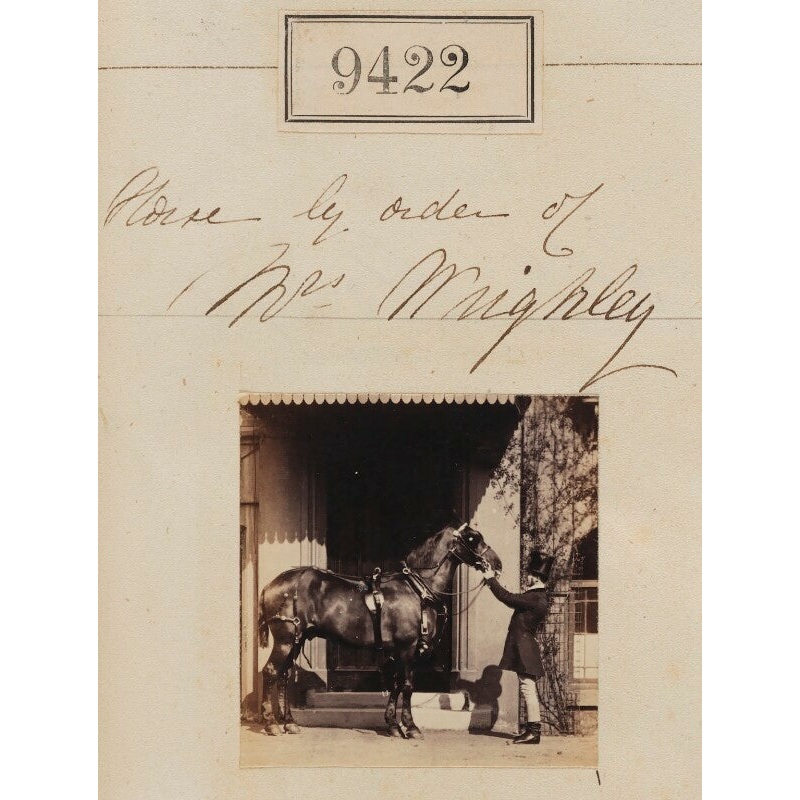 ‘Horse by order of Mrs Wrighley’ Greetings Card
