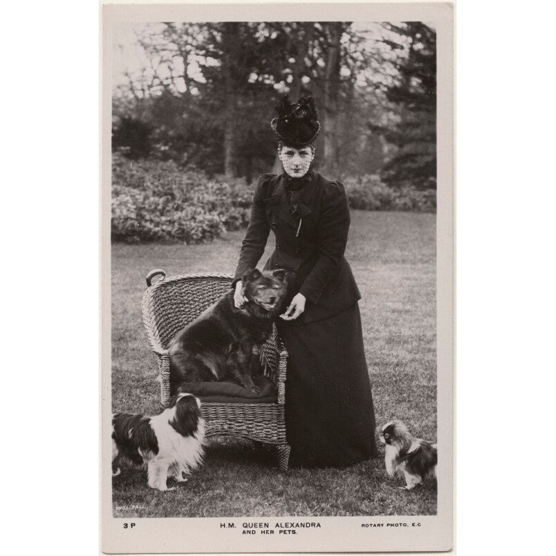 ‘H.M. Queen Alexandra and her pets’ (Queen Alexandra) Greetings Card
