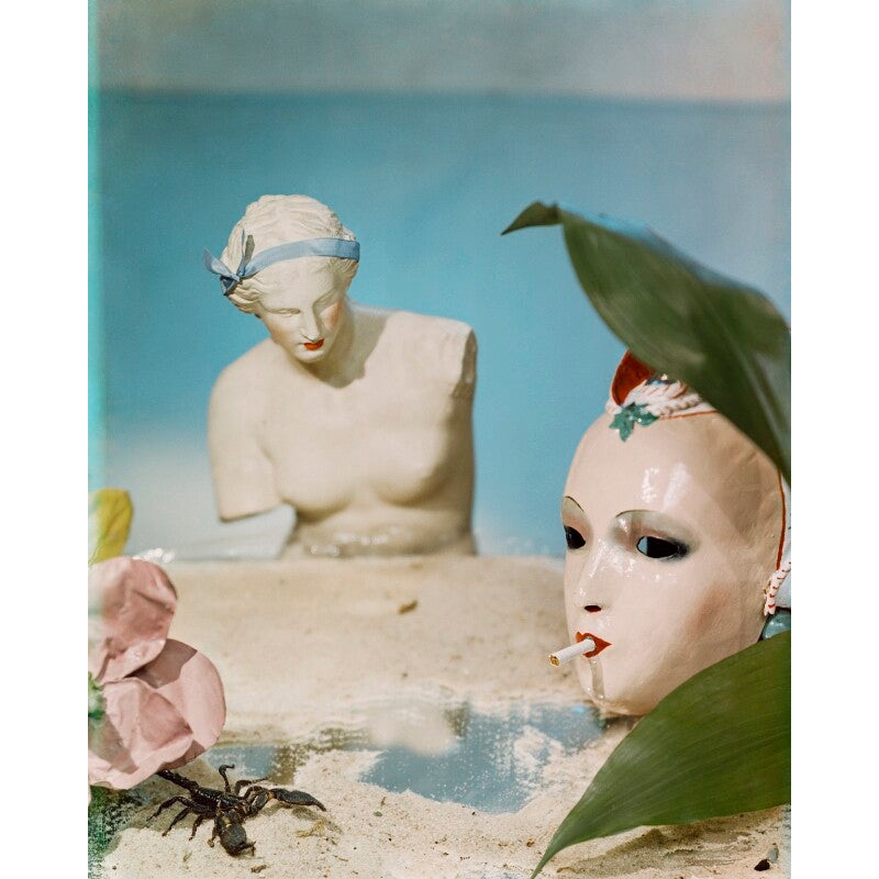 Venus surrounded by Mask and Deep Sea Fish Portrait Print