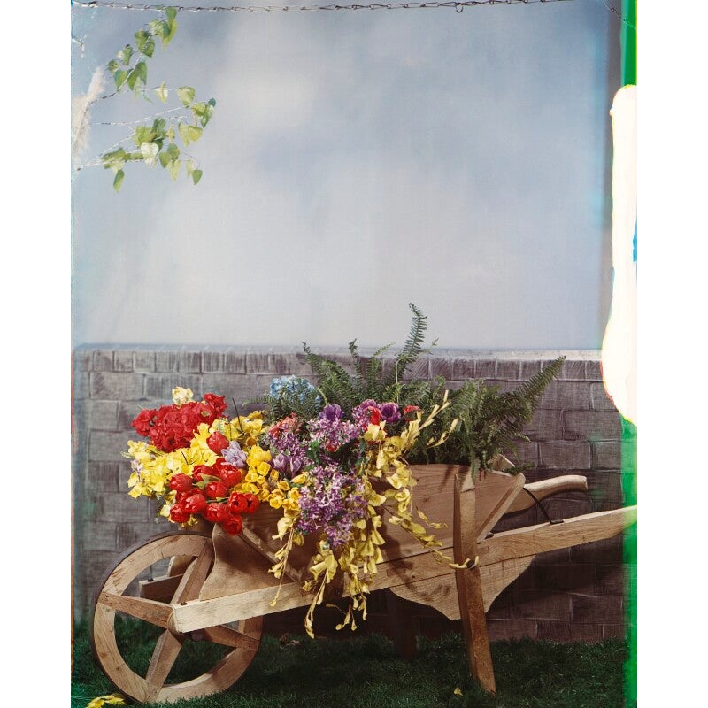 Wheelbarrow with spring flowers Portrait Print